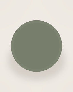 Arco Dinner Plate in Moss, front view on a neutral backdrop