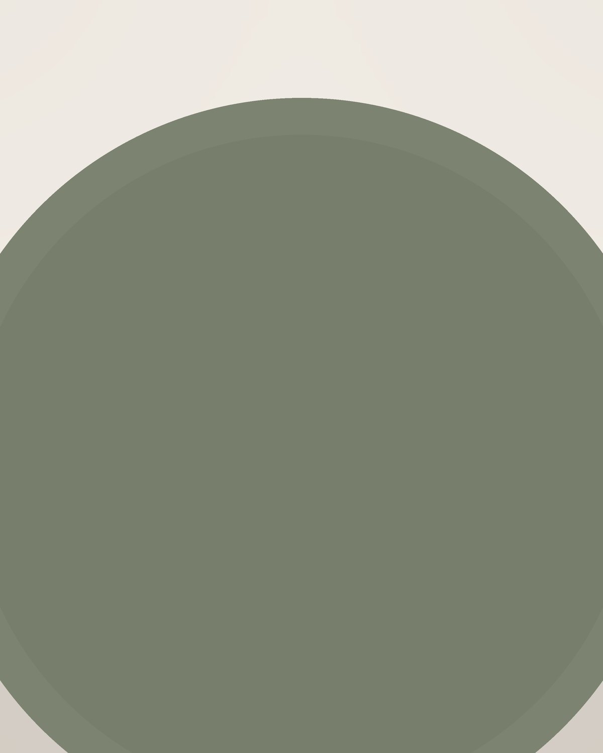 Arco Dinner Plate, close detail of the finish